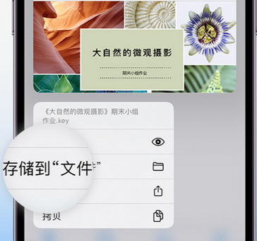 鹰手营子矿apple维修中心分享iPhone文件应用中存储和找到下载文件