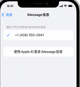 鹰手营子矿apple维修iPhone上无法正常发送iMessage信息 