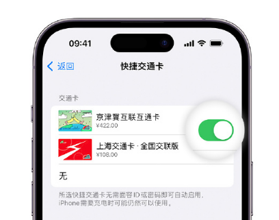 鹰手营子矿apple维修点分享iPhone上更换Apple Pay快捷交通卡手绘卡面 