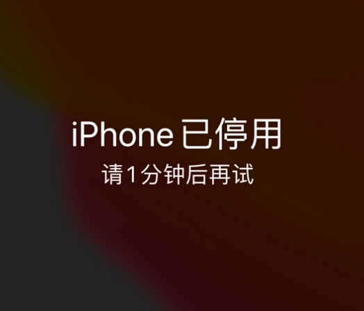 鹰手营子矿苹果手机维修分享:iPhone 显示“不可用”或“已停用”怎么办？还能保留数据吗？ 