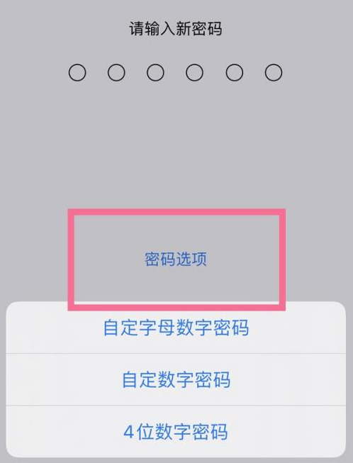 鹰手营子矿苹果14维修分享iPhone 14plus设置密码的方法 