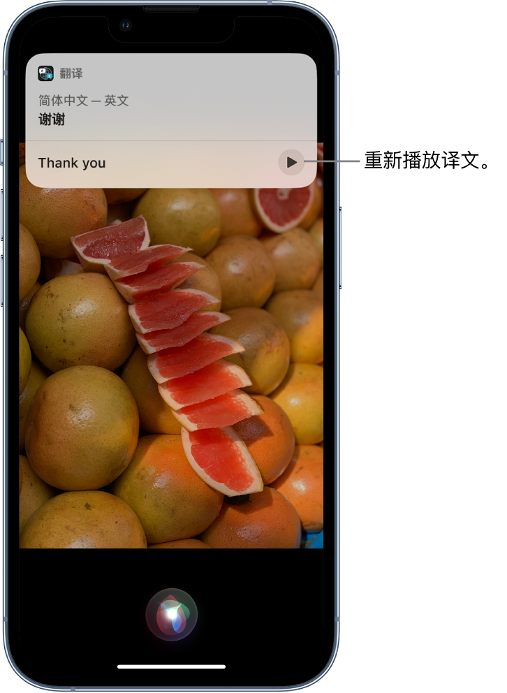 鹰手营子矿苹果14维修分享 iPhone 14 机型中使用 Siri：了解 Siri 能帮你做什么 