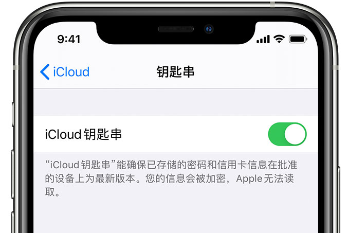 鹰手营子矿苹果手机维修分享在 iPhone 上开启 iCloud 钥匙串之后会储存哪些信息 